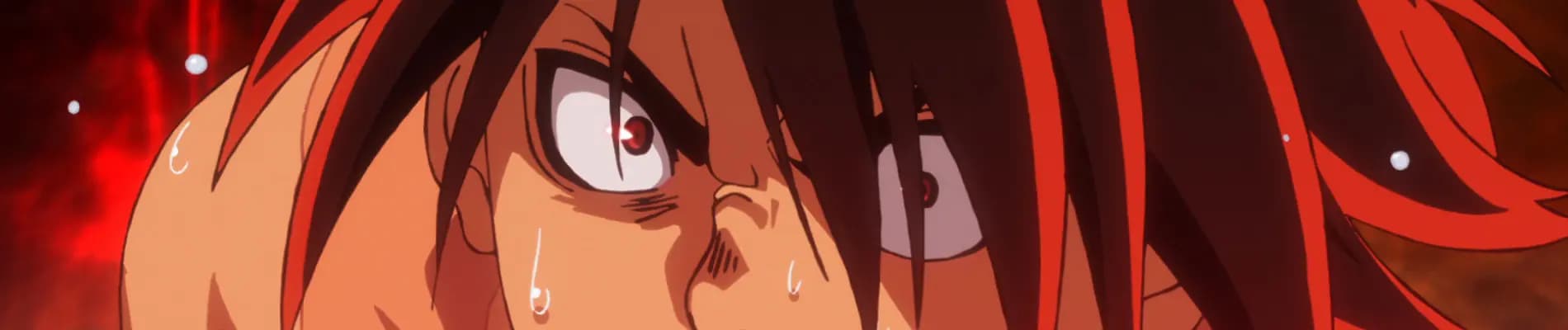 Hinomaruzumou