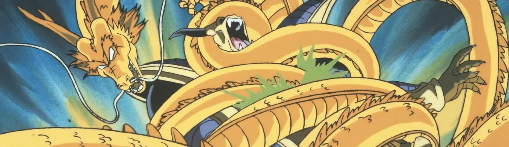 Dragon Ball Z Movie 13: Ryuuken Bakuhatsu!! Gokuu ga Yaraneba Dare ga Yaru